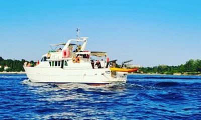 Sunset Cruise with Dolphin Spotting from Umag with Welcome Drink