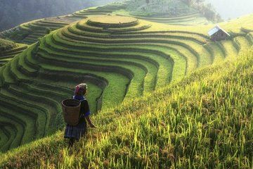Sapa 2D1N from Hanoi Cat Cat Village Fansipan Peak and Cable Car