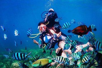 Private Tour Snorkelling and BBQ and Mud Bath