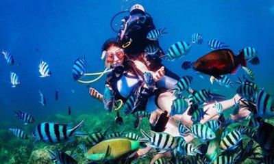 Cham Island Sightseeing and Snorkeling Tour