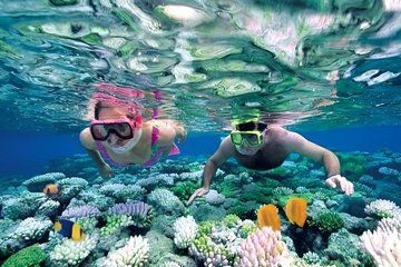 Nha Trang Deluxe Ocean Snorkeling Tour with BBQ and Mud Bath