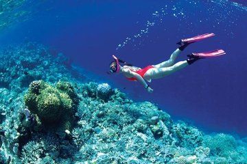 Private Snorkel Trip and Fishing Village Tour