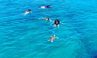 St. Thomas Two Stop Turtle Snorkel & Catamaran Sail Half Day
