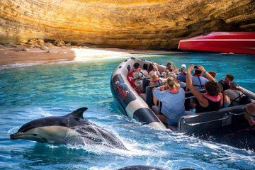 Benagil Caves & Dolphin Watching – Ultimate Algarve Experience