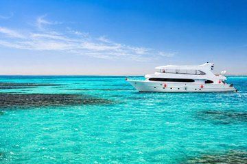 Marsa Alam Snorkeling Trip With Dugong And Turtles Marsa Mubarak