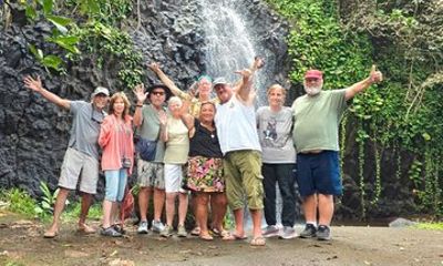 Small Group Shared Half Day Tahiti Tour Waterfalls&Scenic Coast