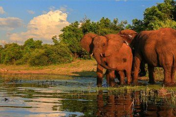 Garden Route 4 Day Small Group Adventure from Cape Town Any day