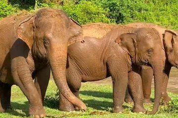 Garden Route 4 Day Small Group Safari from CapeTown Starts AnyDay