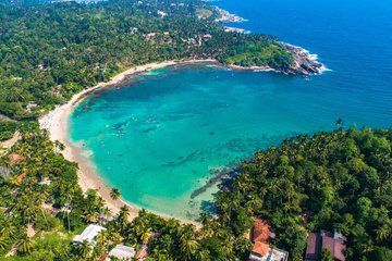 Sri Lanka's Best Transport and Tours (Airport, Multi-Day, etc.)
