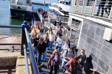 Cape Town Robben lsland Half Day Tour