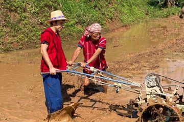 Thai Farming Experience and Waterfall at Karen Village