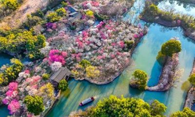 Xixi National Wetland Park Ticket Escape Crowds of West Lake