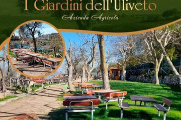 Lunch in Sorrento and Local Tasting in a Panoramic Limonet