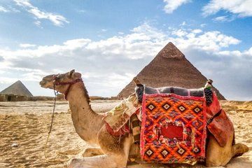 Grand Egyptian Museum & Pyramids from Port Said