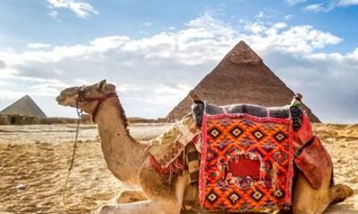 Grand Egyptian Museum & Pyramids from Port Said