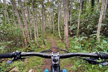 North Osaka E MTB Ride Pilgrim Trails Katsuoji and Local Eats