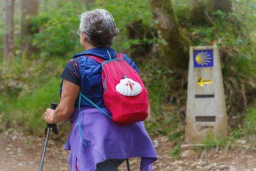 Camino de Santiago Seniors Accessible Day Tour with Lunch & Guide