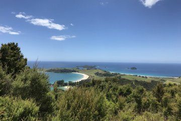 Private Bay of Islands Explorer