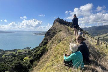 Private Hokianga Explorer