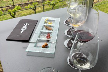 Thessaloniki Wine Tour Winery Visit and Wine Tasting