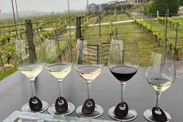 Thessaloniki Wine Tour Winery Visit and Wine Tasting