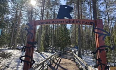 Arctic Wildlife Adventure Ranua Zoo Tour at Rovaniemi and Lapland