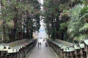 Nara Ikoma Hozanji Temple Small Group Walk and Cable Car Sky View