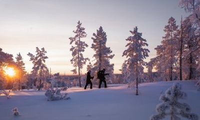 Snowshoeing Experience Explore the Silent Arctic Forest Rovaniem