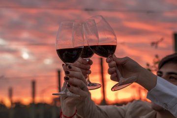 Gamboa Winery Tour with Gourmet Tasting and Lunch