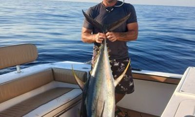 Offshore Deep Sea Fishing Charters in Pensacola Beach