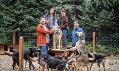 One and a Half Hour Private Summer Sled Dog Experience