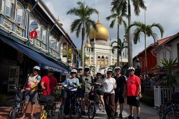 Singapore One Way Bike Tour in Little India to Chinatown and HDB