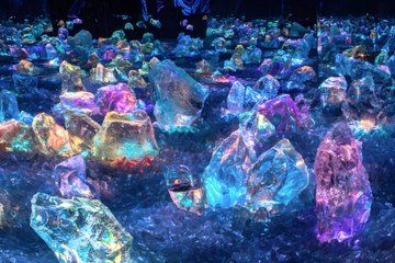 Kyoto TeamLab Biovortex Admission