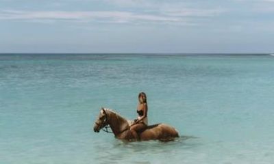 Bahamas Nassau Private Beach Horse Ride Sea Dip