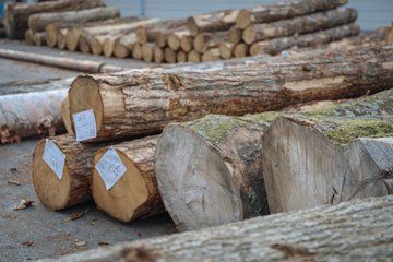Takayama Woodcraft Private Tour Architecture and Craft