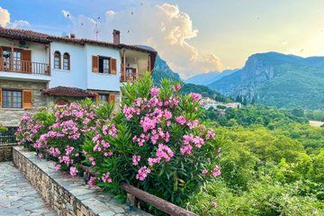 Mt. Olympus Private Shore Tour: Dion, Waterfalls & Litochoro