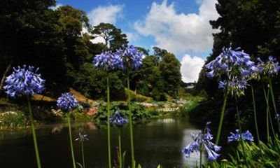 Cornish Gardens & Wonders – Private Shore Tour from Falmouth