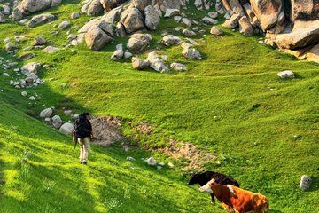 Samarkand Scenic Hiking Adventure in Ohalik Valley