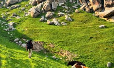 Samarkand: Scenic Hike & Mountain Escape in Ohalik Valley
