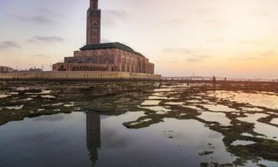 Casablanca Private City Tour with polyglot Licensed Guide
