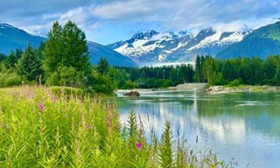 Sightseeing Tour of Juneau Alaska Explore History and Culture