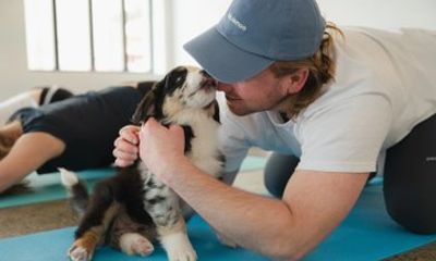 Private Puppy Yoga Activity