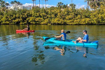 Miami Pelican Island Paddle