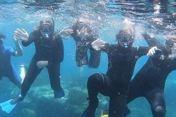 Espiritu Santo Island - Small Group - 10 MAX - Early Departure