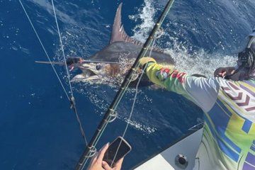 Deep Sea Sport Fishing Adventure in Grenada
