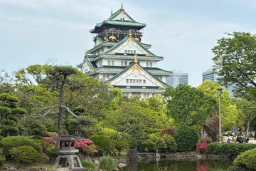 Private Customizable Osaka Tour with Native Osakan Guide