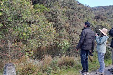 Kanneliya Rainforest Trek from Galle