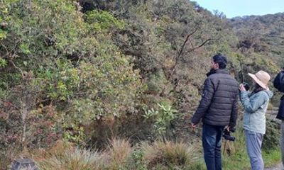 Kanneliya Rainforest Trek from Galle
