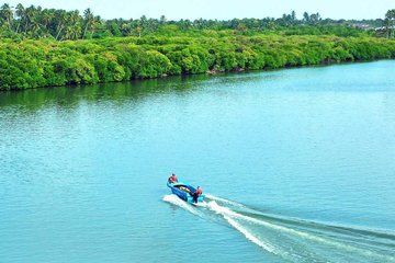 Muthurajawela and Dutch Canal Boat Adventure from Negombo