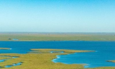 9 Day Iberá Wetlands and Iguazú Falls Tour in Argentina